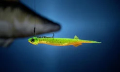 Quantum Pelagic Shad Set Pin-Tail - Gummifisch 13 Quantum Pelagic Shad Set Pin-Tail - Gummifisch -Angelausrüstung 3460004 C2 769242 1280x1280